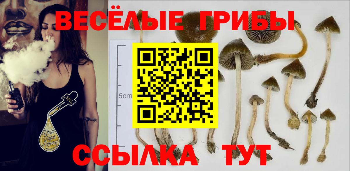 Галлюциногенные грибы Psilocybe  Вход с VPN  Тольятти 