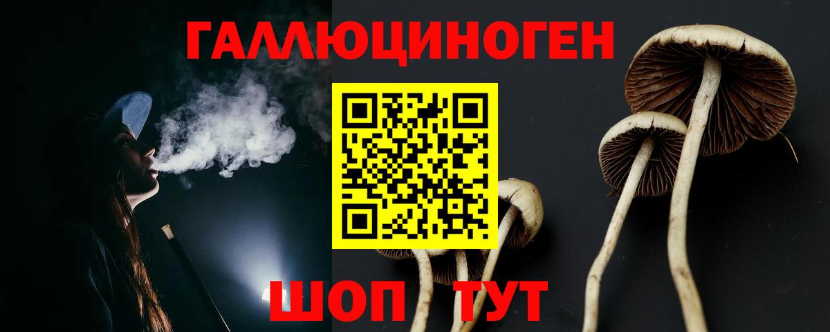 Псилоцибиновые грибы Psilocybine cubensis Тольятти